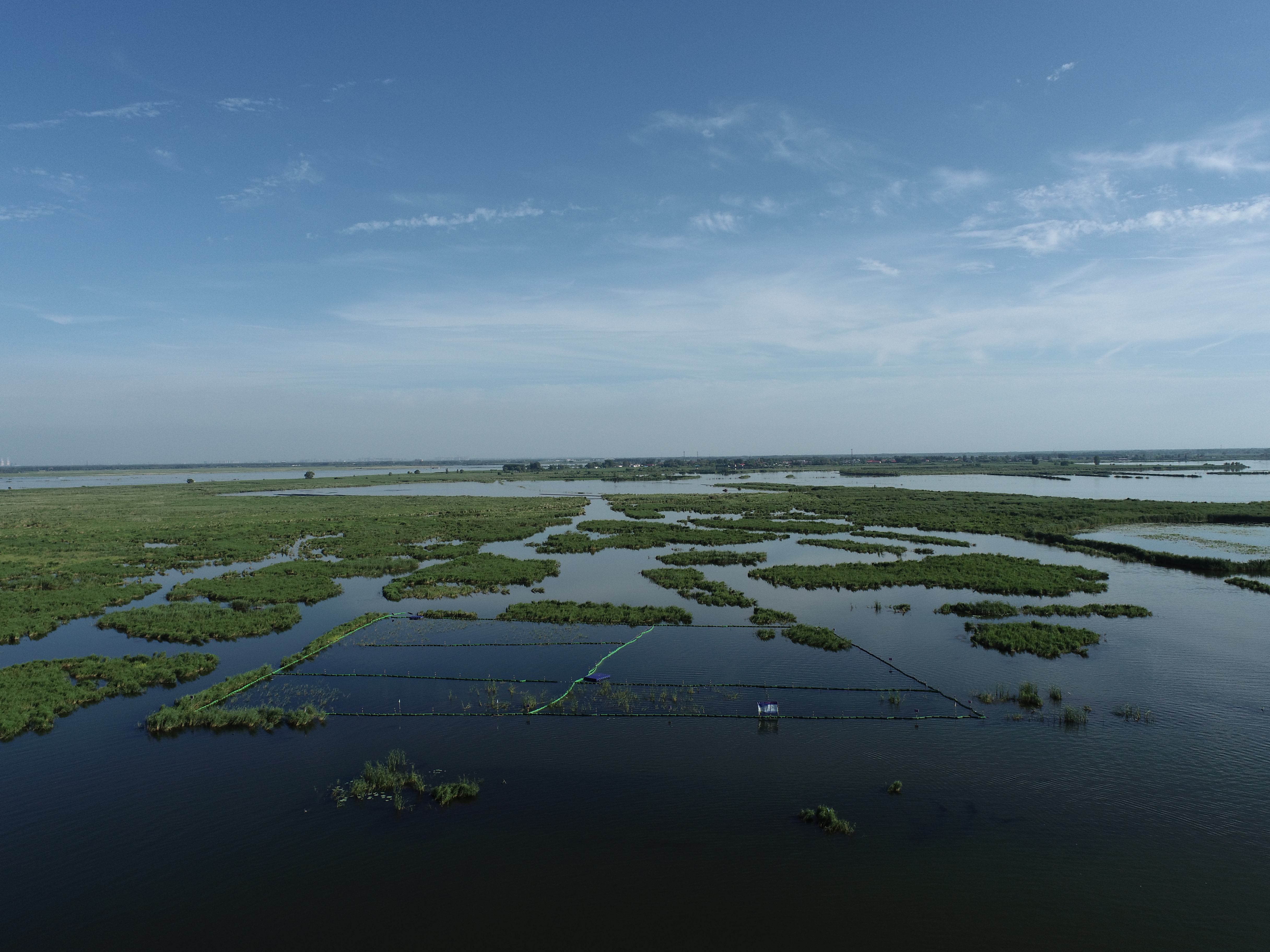 雄安新區(qū)白洋淀水生植被生態(tài)調(diào)控修復技術(shù)及示范研究項目實驗區(qū).jpg